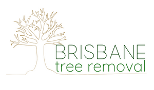 Brisbane Tree Removal