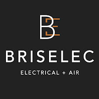 Briselec