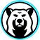 Brown Bear Plumbing Services