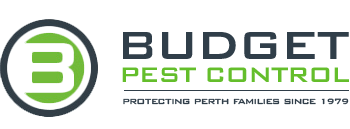 Budget Pest Control