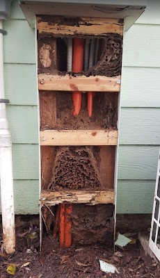 Building and Pest Inspection Melbourne work 3