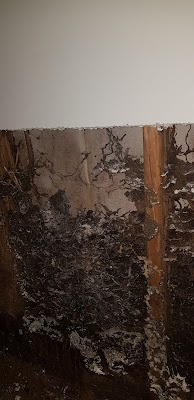 Bumblebee Pest Control photo 2