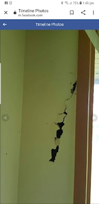 Bumblebee Pest Control photo 3