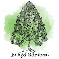 Bunya Gardens