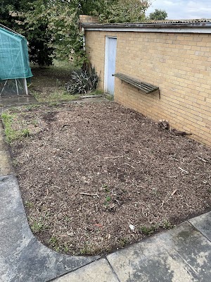 C & D Schroeder Tree Services work 2