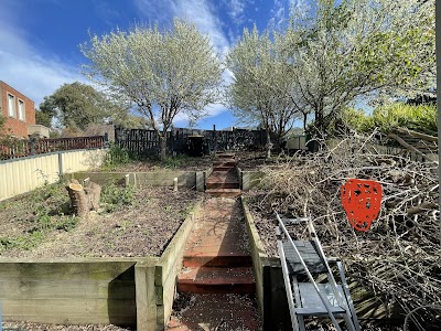 C & D Schroeder Tree Services work 3