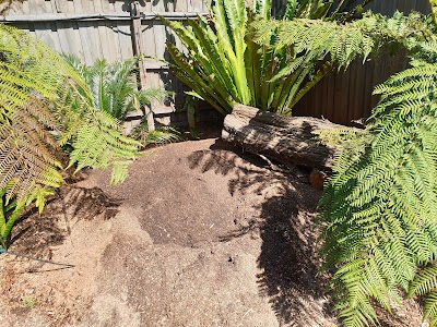 C & D Schroeder Tree Services project 5