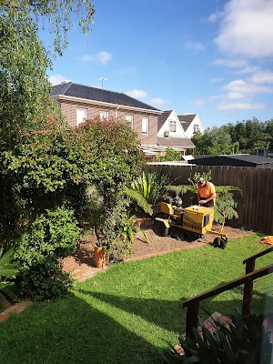 C & D Schroeder Tree Services work 1