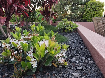 Cadenza Landscapes work 2