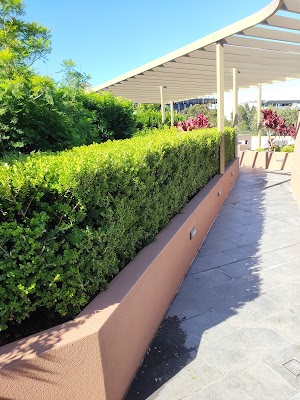 Cadenza Landscapes work 4