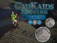 Call Kaids Roofing