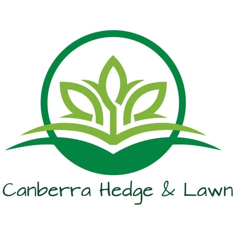 Canberra Hedge and Lawn