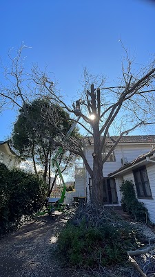 Canberra Siteworks Landscaping and Garden services project 5