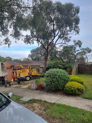 Chris Davies Tree Removals work 3