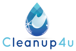 Cleanup4u