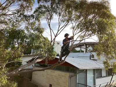 Climb Right Tree Services photo 2