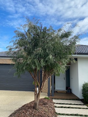 Coastal Green Grass Mowing photo 3