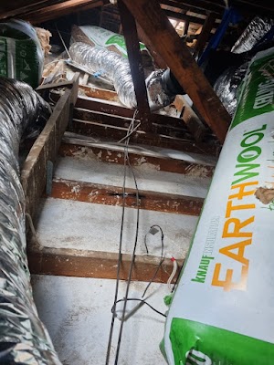 Cocoon Insulation photo 3