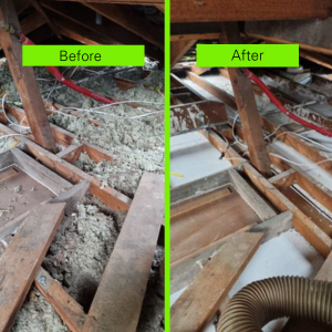 Cocoon Insulation work 4