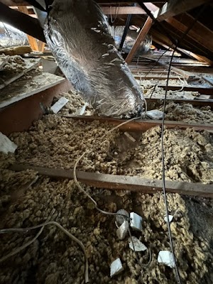 Cocoon Insulation project 5