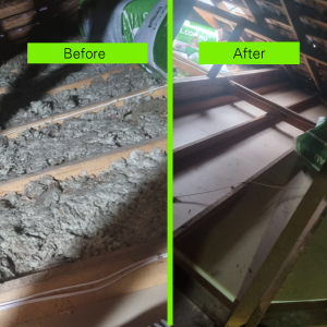 Cocoon Insulation project 6