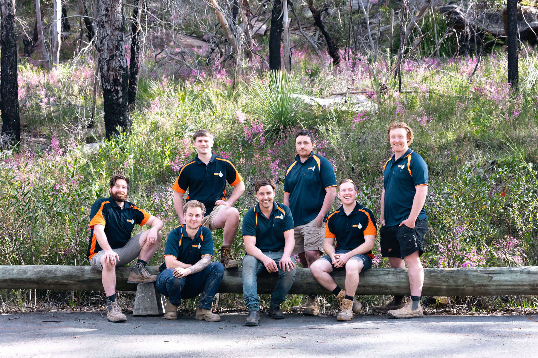 Collis Bros Plumbing