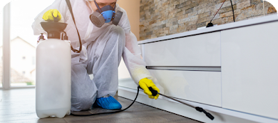 Combat Pest Management Pty Ltd | Pest Control Services in Sydney