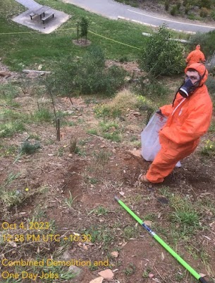 Combined Demolition and Services project 6