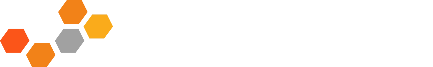 Commodore Security Group