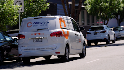 Complete Pest Control work 3