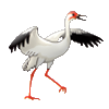 Crane Glass Pty Ltd.