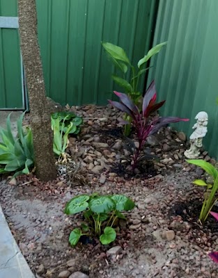 CreationScapes Landscaping project 5