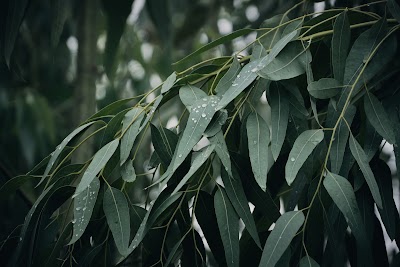 CreationScapes Landscaping work 1