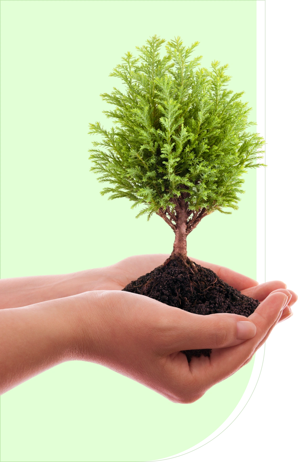 Cumberland Tree Services