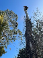 Cut It Right Tree Service