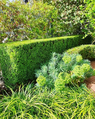 Cut N Polish - lawn & property services work 4