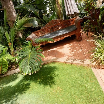 Cut N Polish - lawn & property services project 5