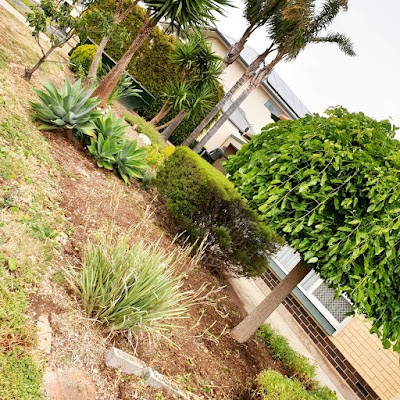 Cut N Polish - lawn & property services project 6