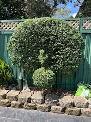 Cutting Edge Lawn Services work 2