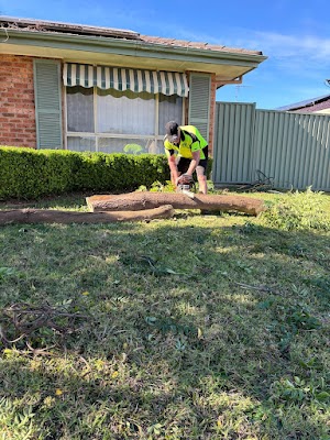 Cutting Edge Lawn Services