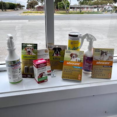 Daish Irrigation and Fodder project 5