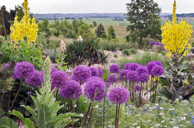 Daniel Tyrrell Landscapes project 6