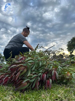 Darling Pea Garden Care photo 3