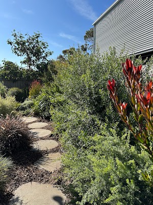 Darling Pea Garden Care project 6