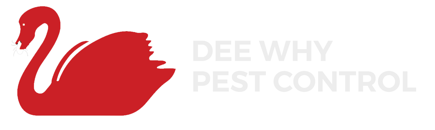 Dee Why Pest Control