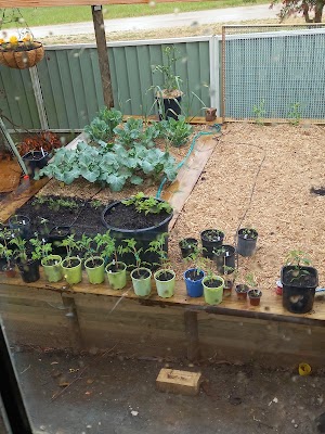 Dela Landscaping Supplies Ballarat work 4