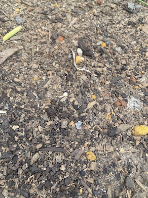 Dela Landscaping Supplies Ballarat project 6