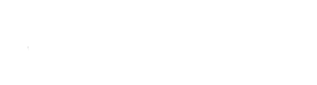 DevelopWise