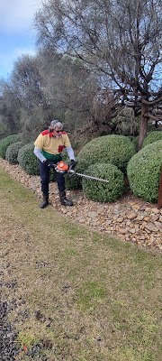 Disa Irrigation, Landscaping & Horticulture work 3