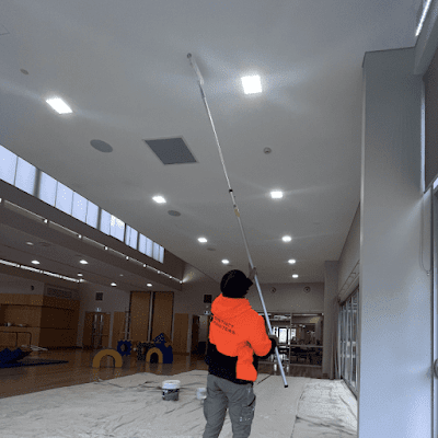 Distinct Painters work 2